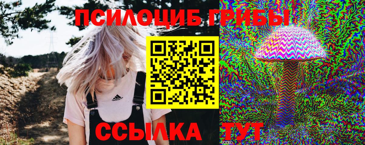Псилоцибиновые грибы ЛСД  Вход с VPN  Галлюциногенные грибы MAGIC MUSHROOMS  Нижний Новгород 
