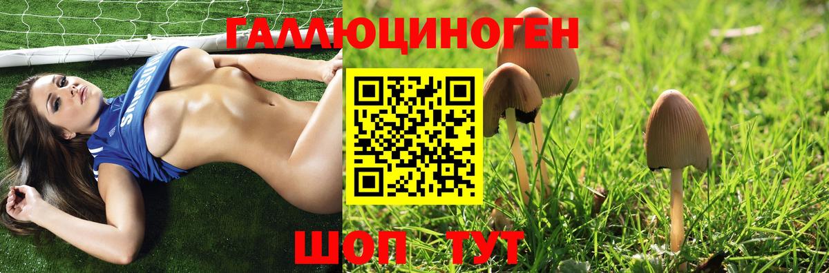 Галлюциногенные грибы Psilocybe Нижний Новгород